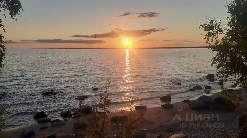 Участок в Псковская область, Гдовский район, Добручинская волость  ... - Фото 1