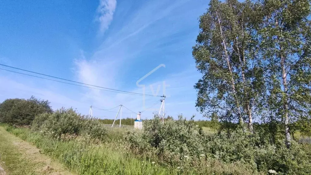 Участок в Владимирская область, Судогодский район, Головинское ... - Фото 0