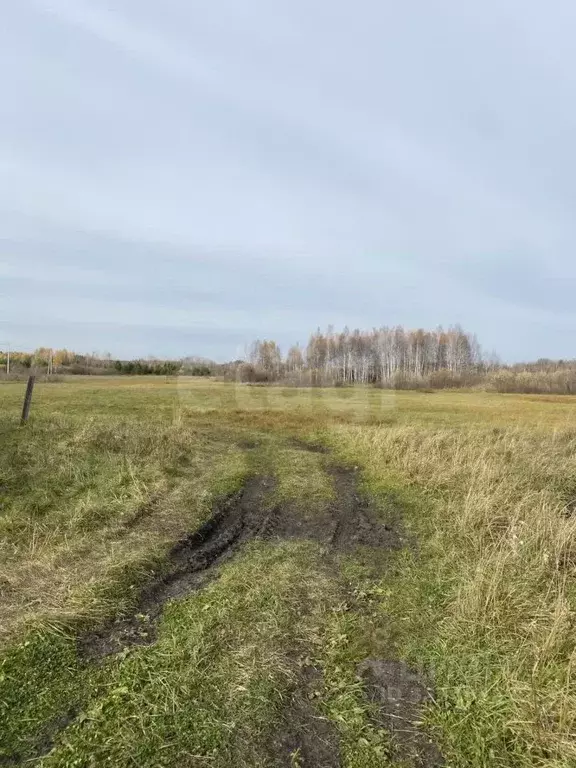 Участок в Свердловская область, Слободо-Туринский район, ... - Фото 1