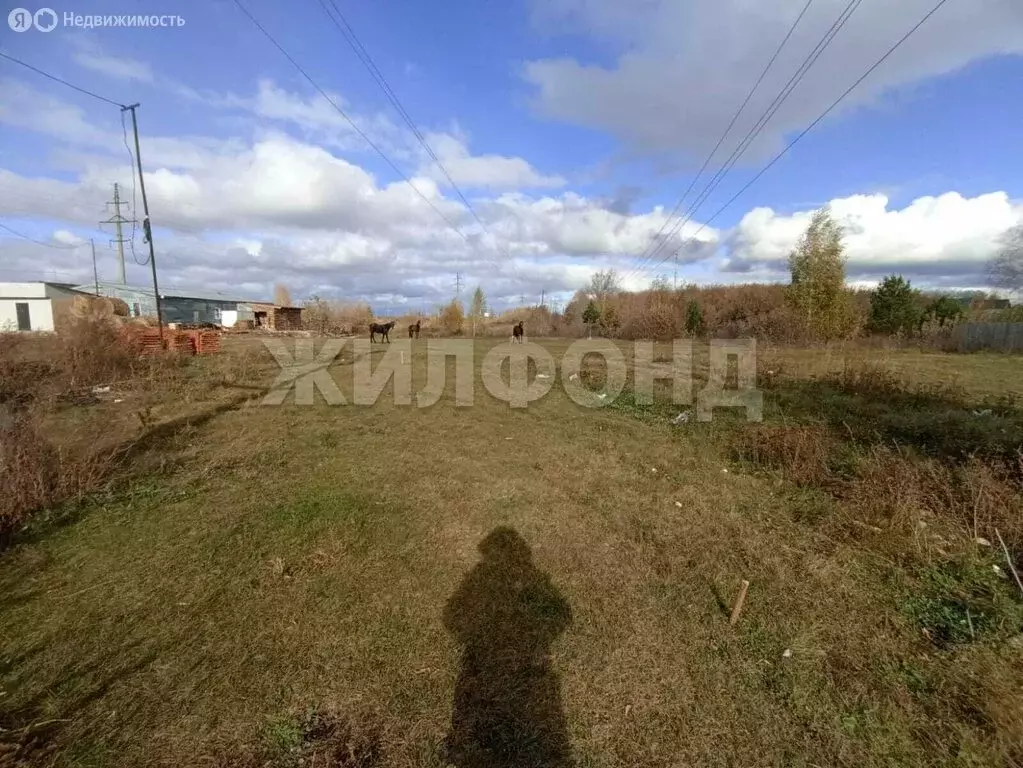 Участок в Новосибирская область, рабочий посёлок Колывань, улица ... - Фото 1
