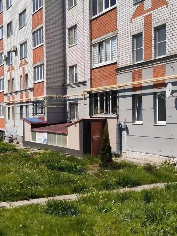Помещение свободного назначения в Чувашия, Чебоксары ул. Федора ... - Фото 1