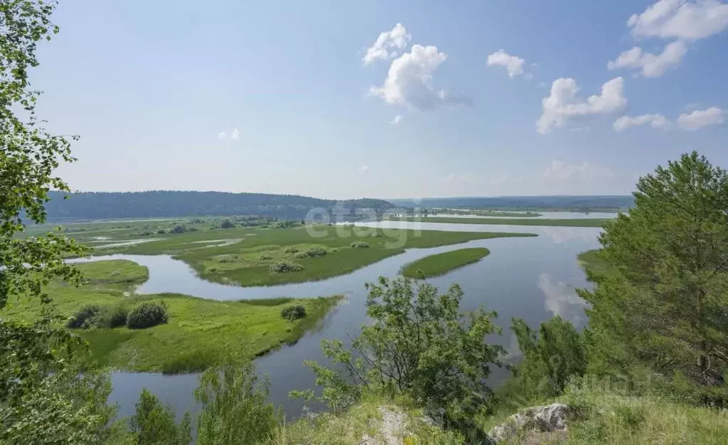 Участок в Пермский край, Кунгурский муниципальный округ, д. Щелканы  ... - Фото 1