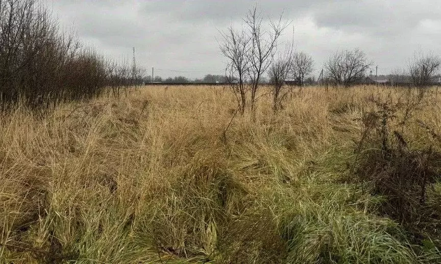 Участок в Московская область, Серпухов городской округ, с. Липицы  ... - Фото 0
