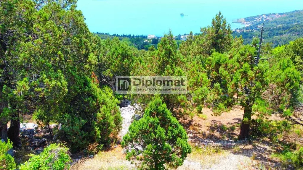 Участок в Крым, Ялта городской округ, Голубой Залив пгт  (6.0 сот.) - Фото 2