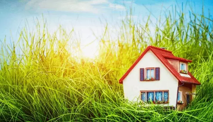 Участок в Башкортостан, Бирский район, Бурновский сельсовет, Чистые ... - Фото 1