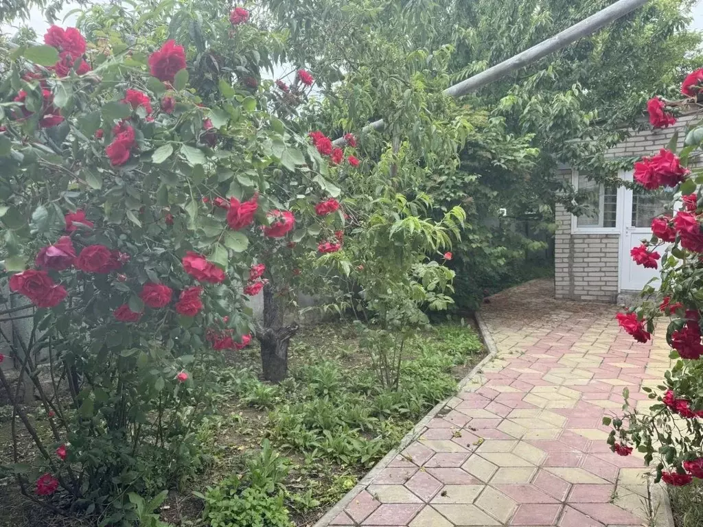 Дом в Краснодарский край, Анапа муниципальный округ, Благовещенская ... - Фото 1