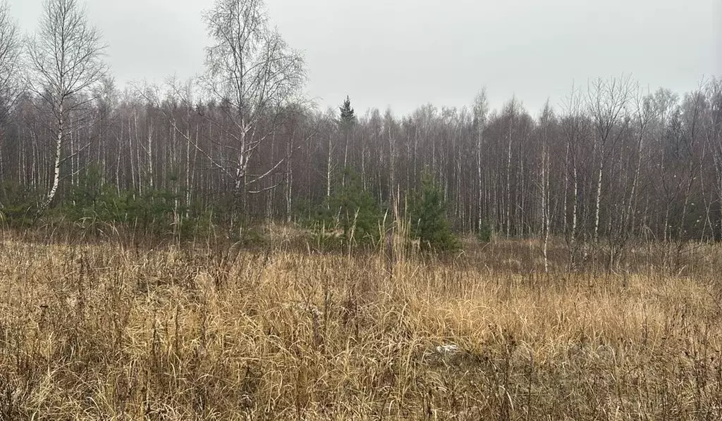 Участок в Московская область, Ступино пер. 1-й Знаменский (14.5 сот.) - Фото 0