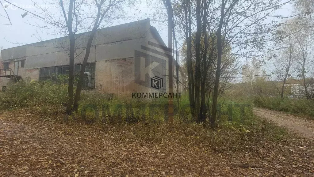 Помещение свободного назначения (1029 м) - Фото 2