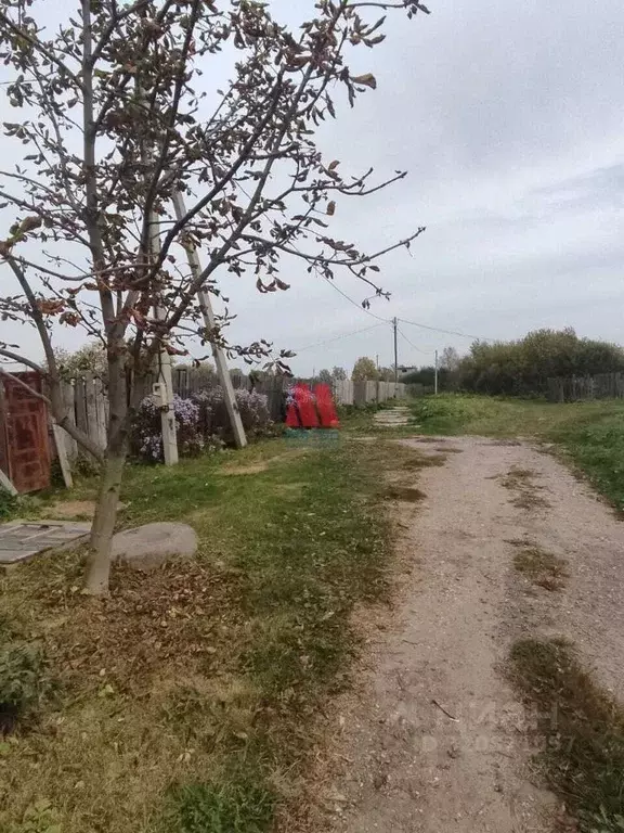 Участок в Ярославская область, Ярославский муниципальный округ, пос. ... - Фото 2