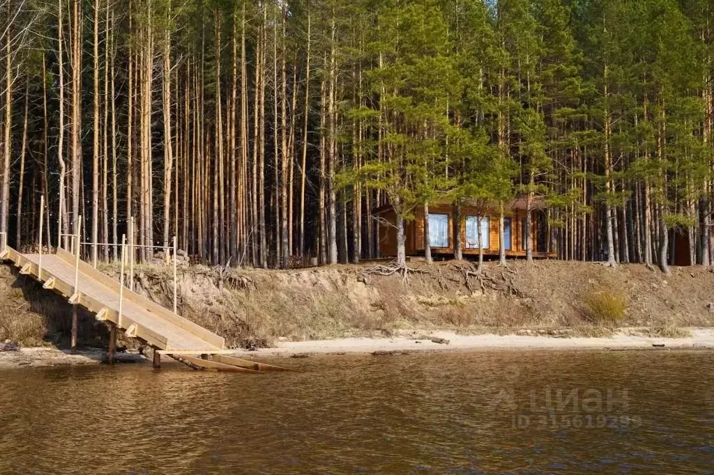 Комната Нижегородская область, Сокольский городской округ, д. Юркино  ... - Фото 0