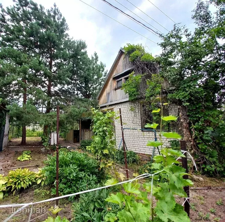 Дом в Саратовская область, д. Долгий Буерак, Новь СНТ 64 (43 м) - Фото 1