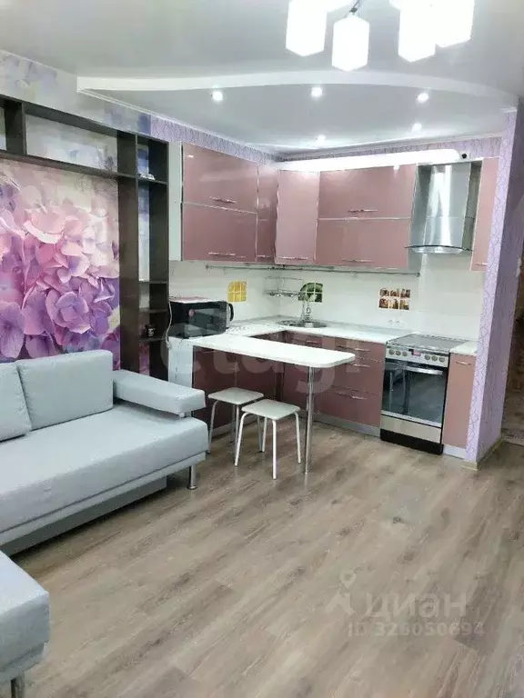 Студия Амурская область, Благовещенск Зейская ул., 283 (26.5 м) - Фото 1