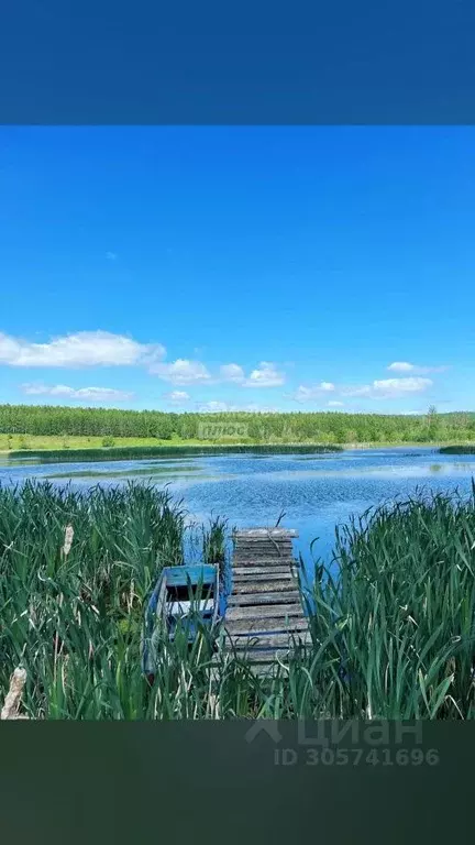 дом в башкортостан, туймазинский район, с. верхнетроицкое ул. . - Фото 1