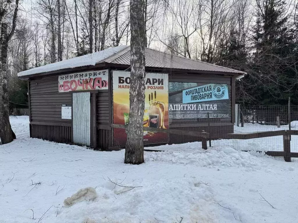 Торговая площадь (34.8 м) - Фото 1