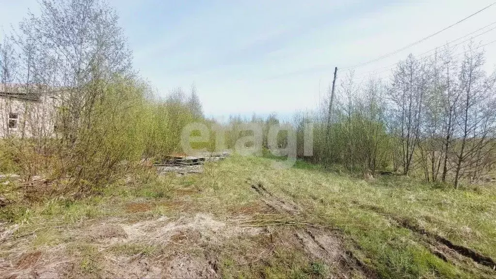 Участок в Костромская область, Буйский район, д. Бараново Нижняя ул. ... - Фото 1