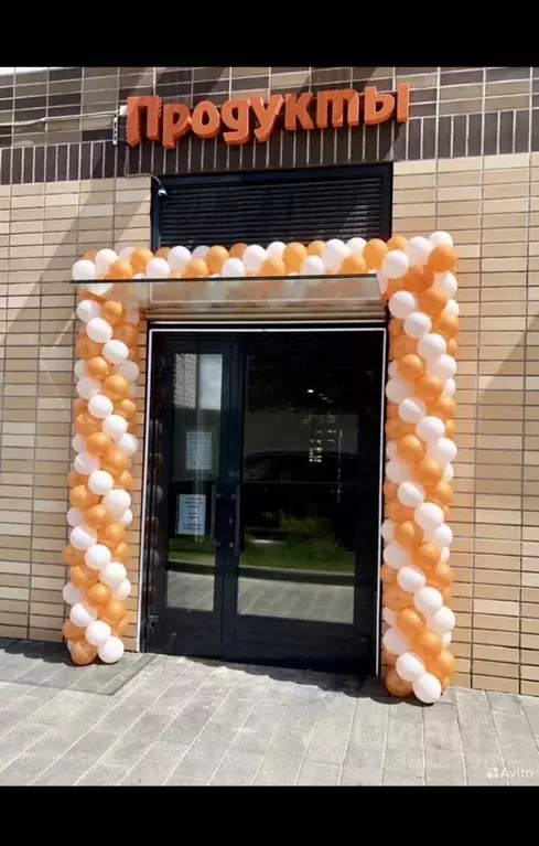 Помещение свободного назначения в Московская область, Люберцы ул. ... - Фото 1