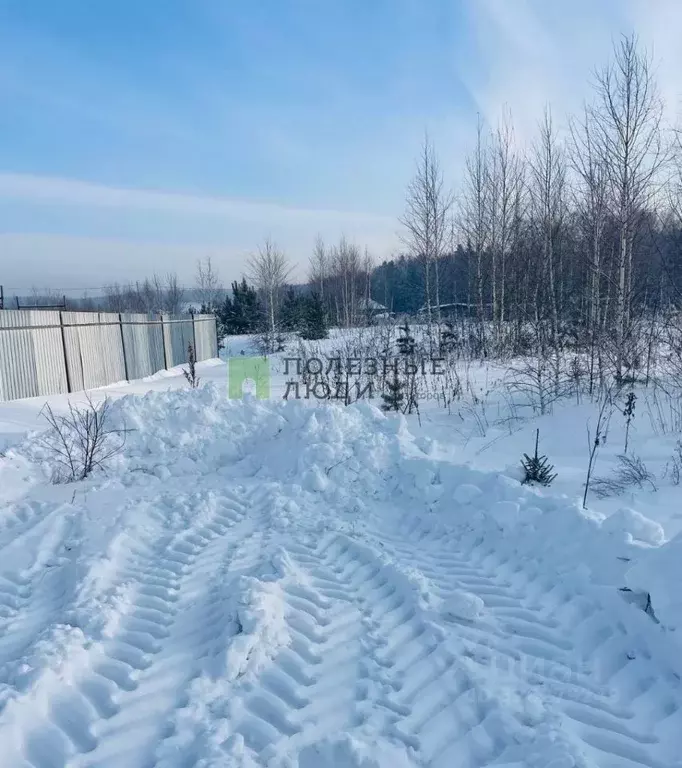 Участок в Красноярский край, Красноярск городской округ, пос. Элита ... - Фото 2