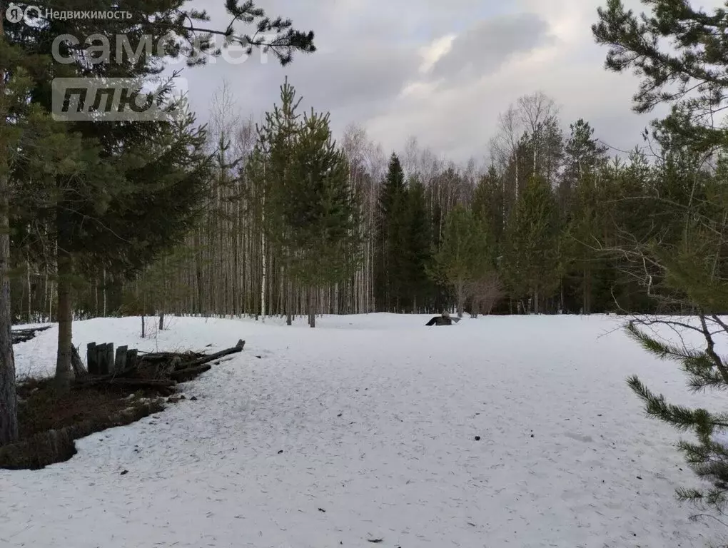 Участок в село Выльгорт, улица Ольги Мальцевой (10.05 м) - Фото 0