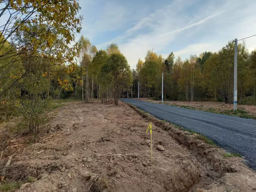 Участок в Московская область, Дмитровский муниципальный округ, пос. ... - Фото 2