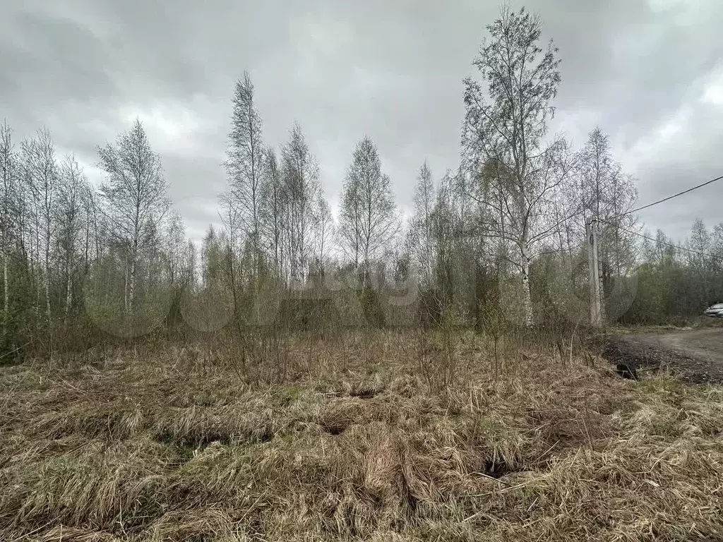 Участок 7 сот. (ИЖС) - Фото 0