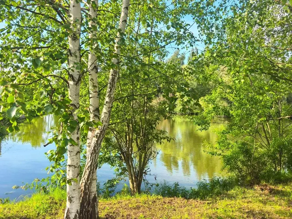 Участок в Московская область, Домодедово городской округ, с. Успенское ... - Фото 0