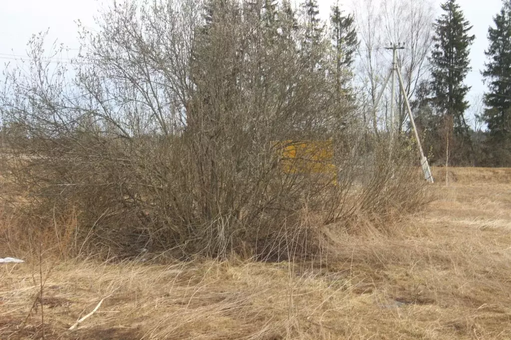 Участок в Московская область, Шаховская муниципальный округ, д. Паново ... - Фото 1