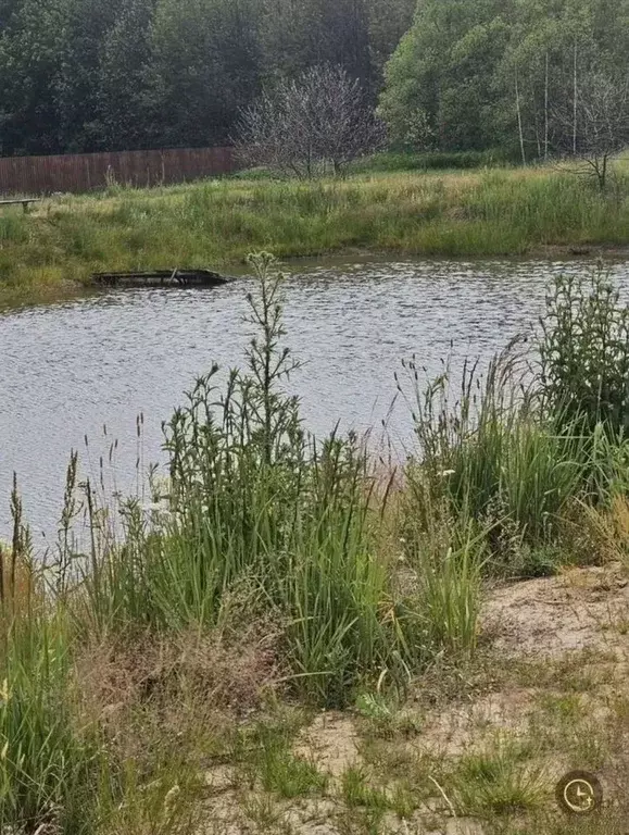 Участок в Московская область, Шатура муниципальный округ, с. Митинская ... - Фото 2