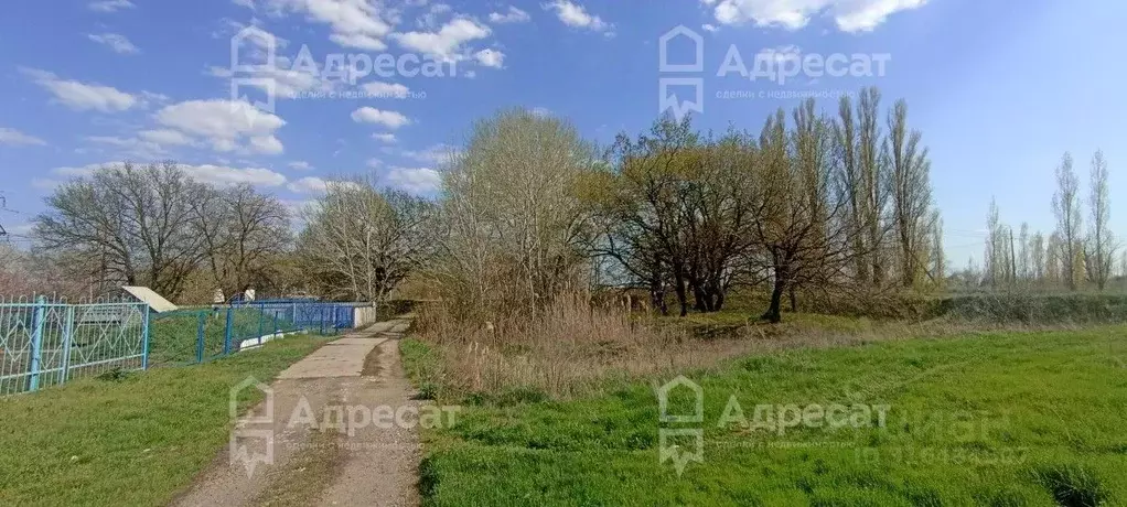 Участок в Волгоградская область, Среднеахтубинский район, Клетское ... - Фото 1