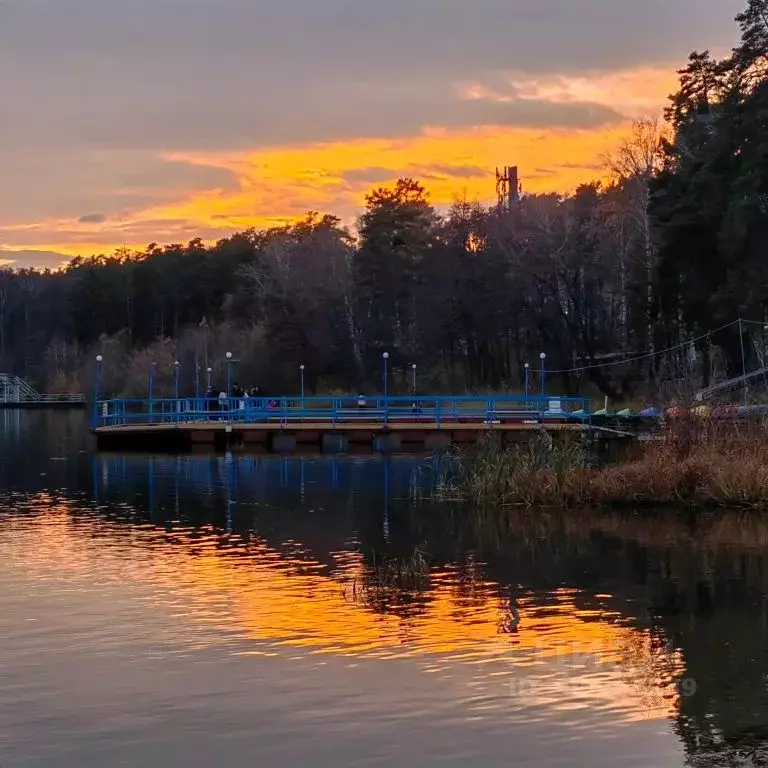 1-к кв. Челябинская область, Чебаркуль Санаторий Еловое тер., 10А ... - Фото 1