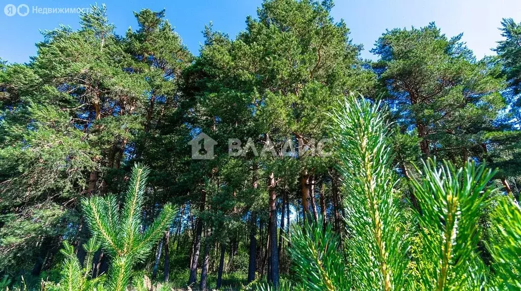 Участок в Старая Купавна, Советская улица (9.8 м) - Фото 0
