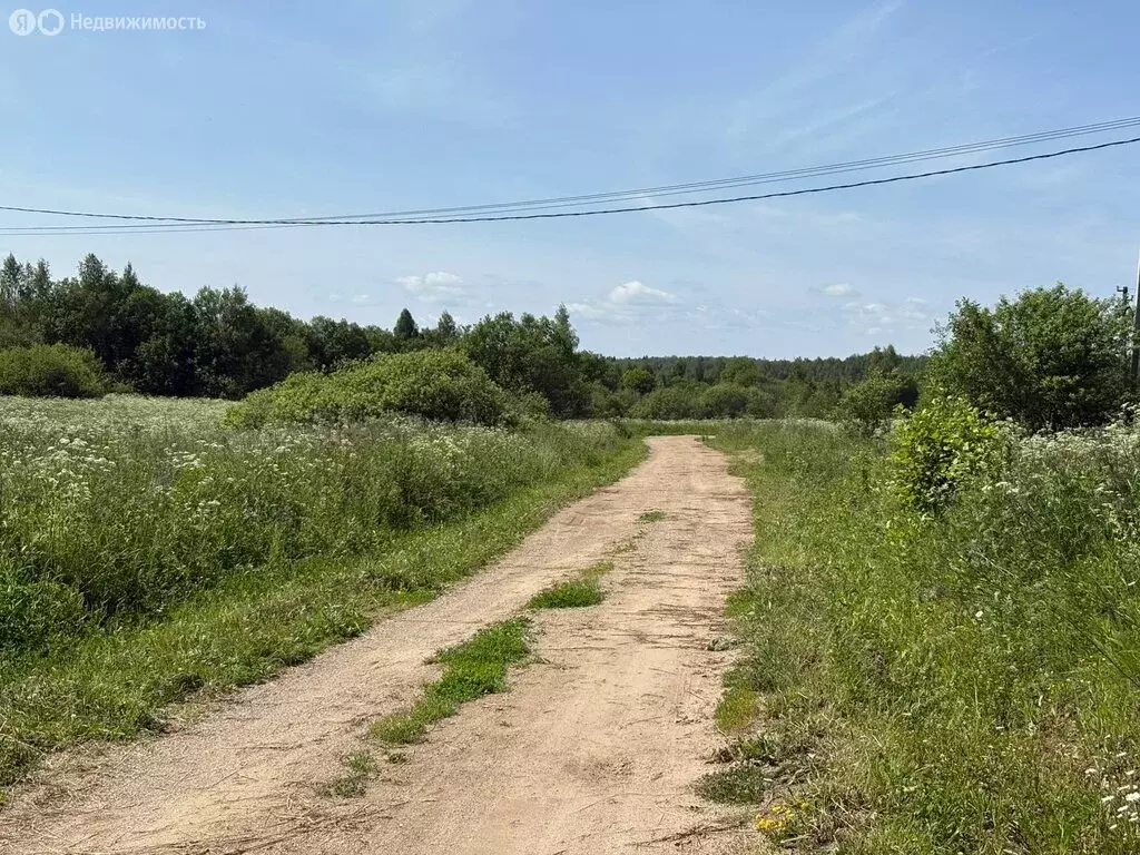 Участок в Ярославская область, Переславль-Залесский муниципальный ... - Фото 1