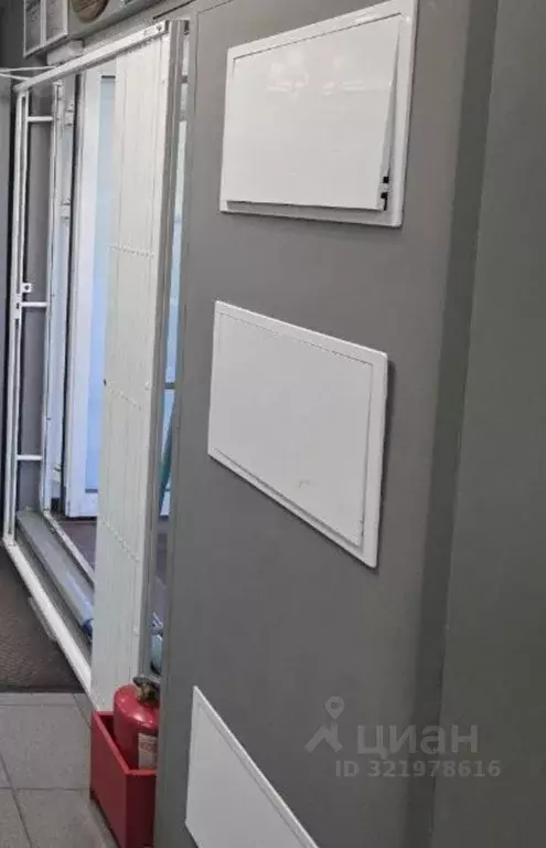 Торговая площадь в Новосибирская область, Новосибирск ул. Дуси ... - Фото 1