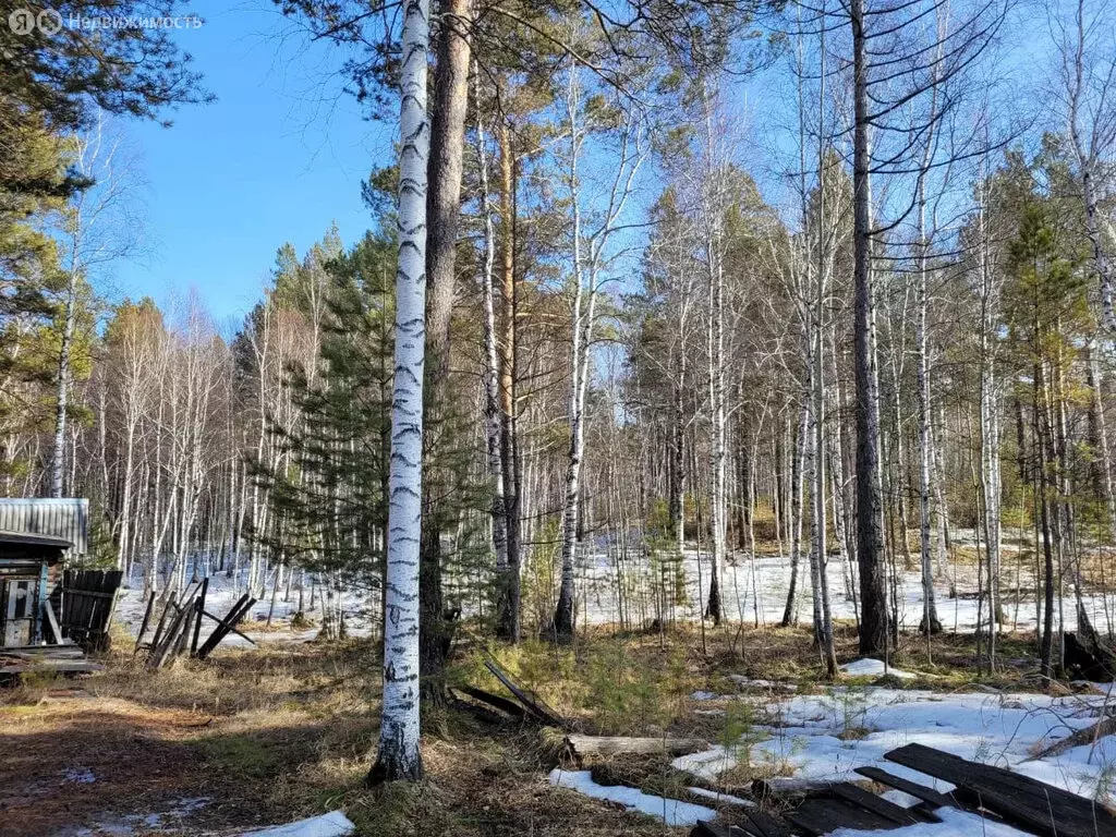 Участок в Иркутский муниципальный округ, СНТ Надежда (9 м) - Фото 1