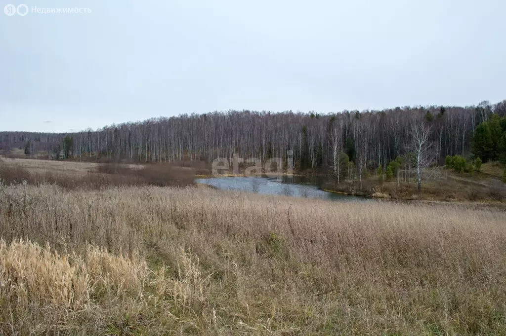 Участок в Прокопьевск, Центральная улица (500 м) - Фото 0