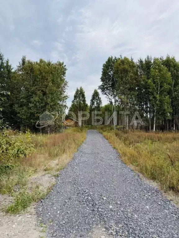 Участок в Тюменская область, Нижнетавдинский муниципальный округ, ... - Фото 1