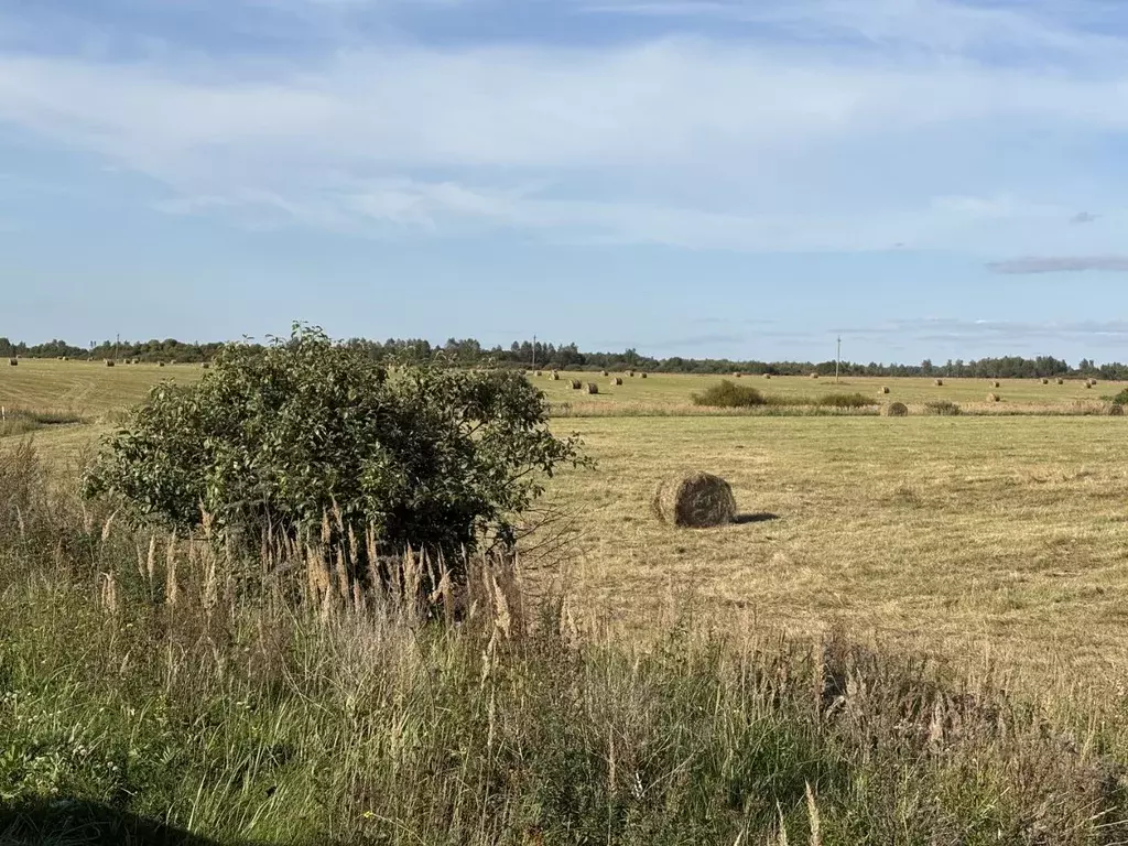 Участок в Смоленская область, Гагаринский муниципальный округ, д. ... - Фото 1