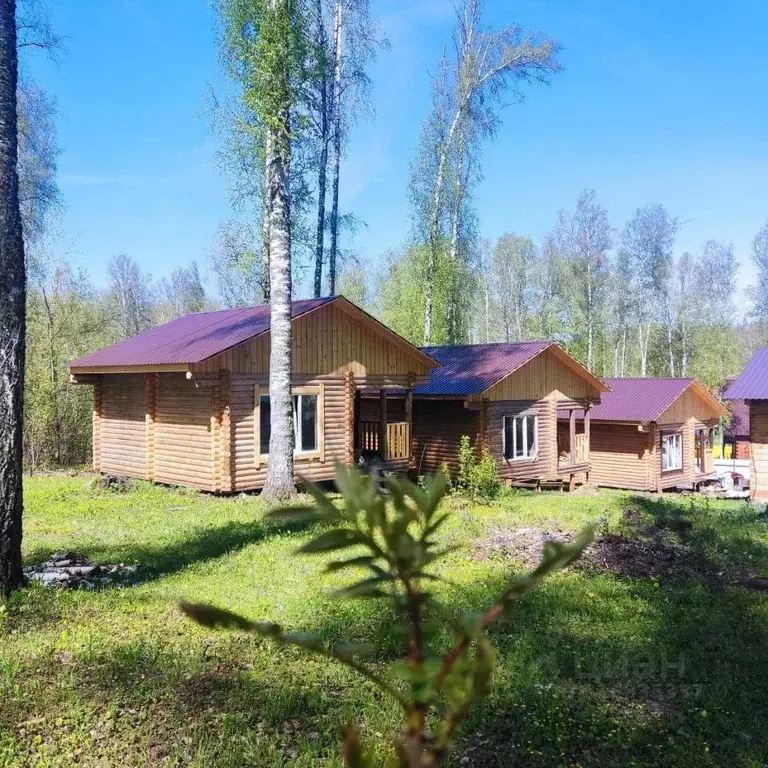 Дом в Алтайский край, Алтайский район, пос. Катунь Сибирская ул., 4А ... - Фото 1