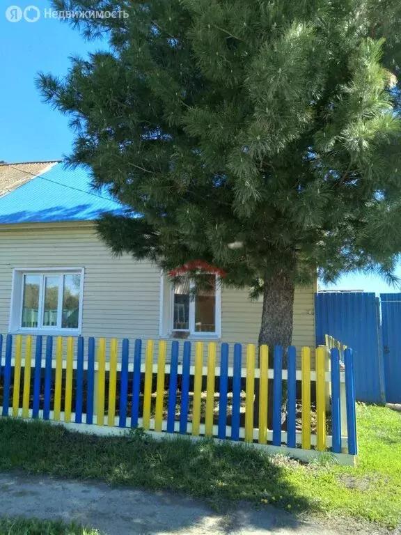 Дом в село Балахтон, улица Комарова, 12 (45 м) - Фото 2