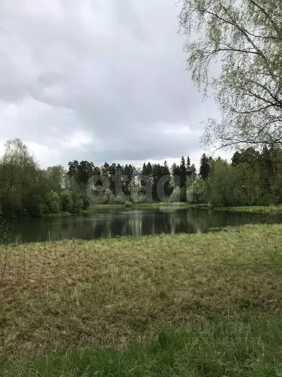 Участок в Московская область, Мытищи городской округ, с. Марфино, ... - Фото 1