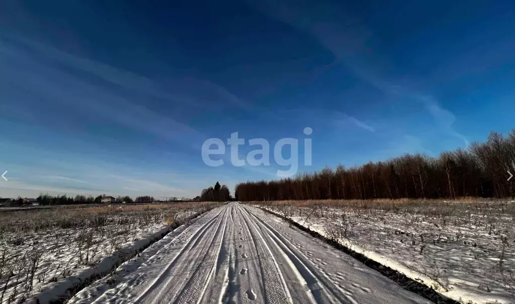 Участок в Московская область, Дмитровский городской округ, Медведки кп ... - Фото 1