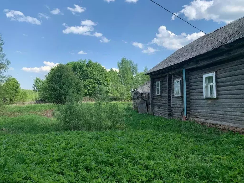 Участок в Ярославская область, Борисоглебский муниципальный округ, д. ... - Фото 0