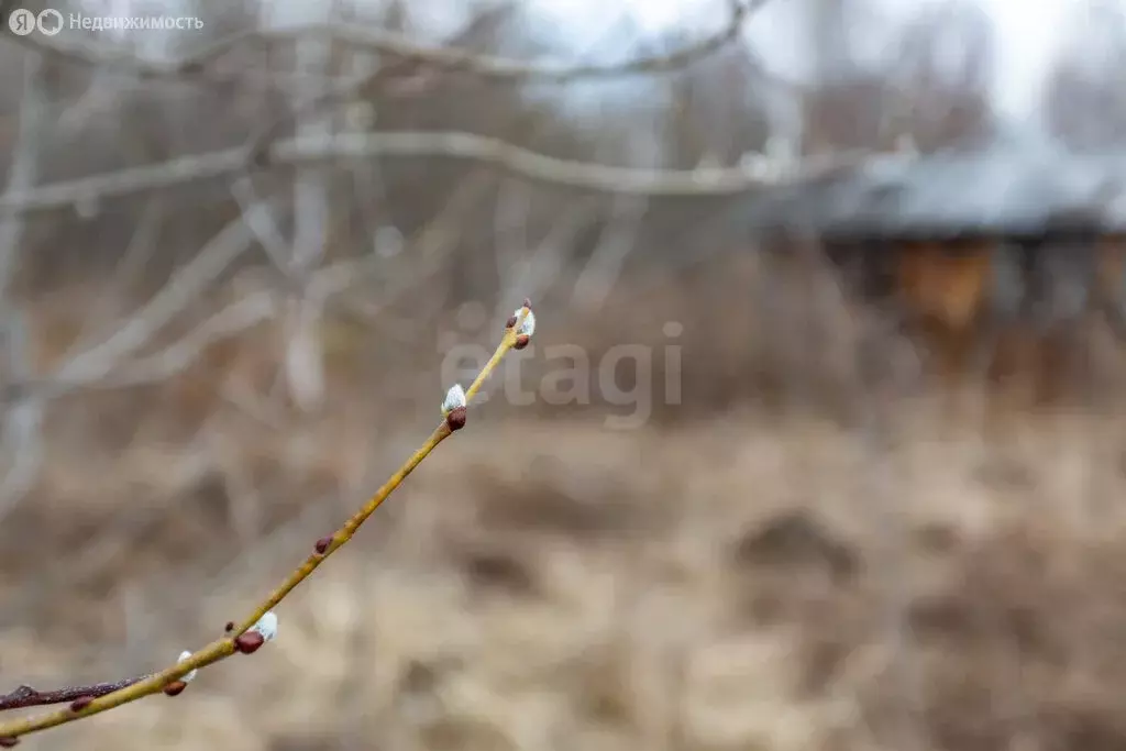 Участок в Башковское сельское поселение, садоводческое товарищество ... - Фото 0