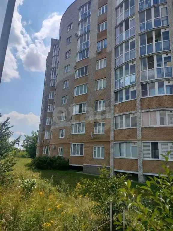 1-к кв. Белгородская область, Белгород ул. Макаренко, 38 (38.5 м) - Фото 1