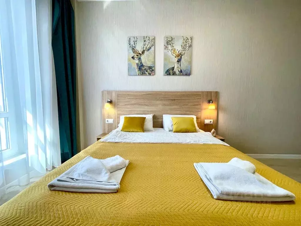 1-к кв. Санкт-Петербург Пулковское ш., 14с6 (26.0 м) - Фото 2