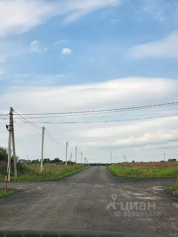 Участок в Московская область, Рузский муниципальный округ, Рузская ... - Фото 2
