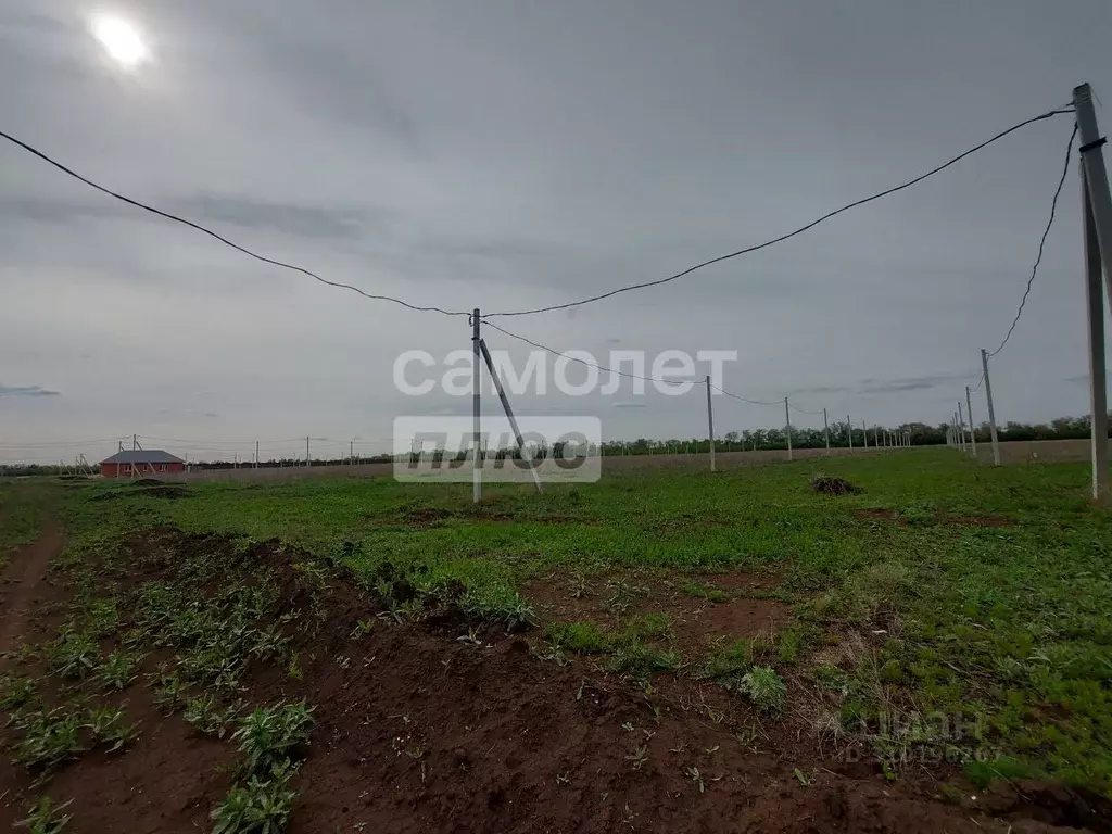 Участок в Оренбургская область, Оренбургский район, Нежинский ... - Фото 0