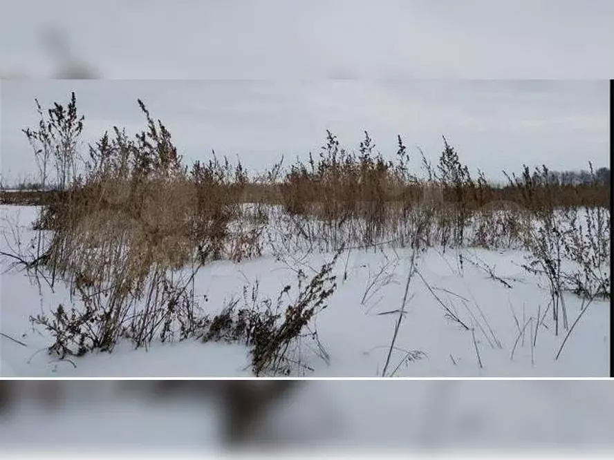 Участок 11 сот. (ИЖС) - Фото 0