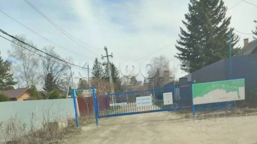 Участок в Новосибирская область, Колыванский район, Рыбачий СНТ  (12.0 ... - Фото 0