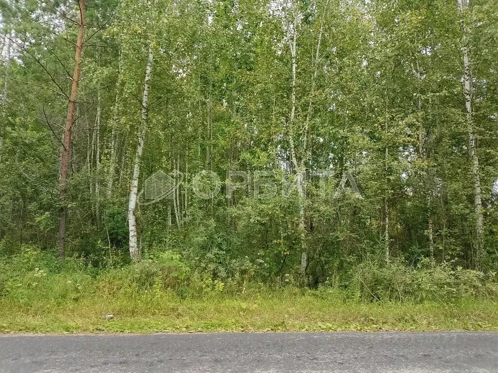 Участок в Тюменская область, Нижнетавдинский район, Сундукульский ... - Фото 0