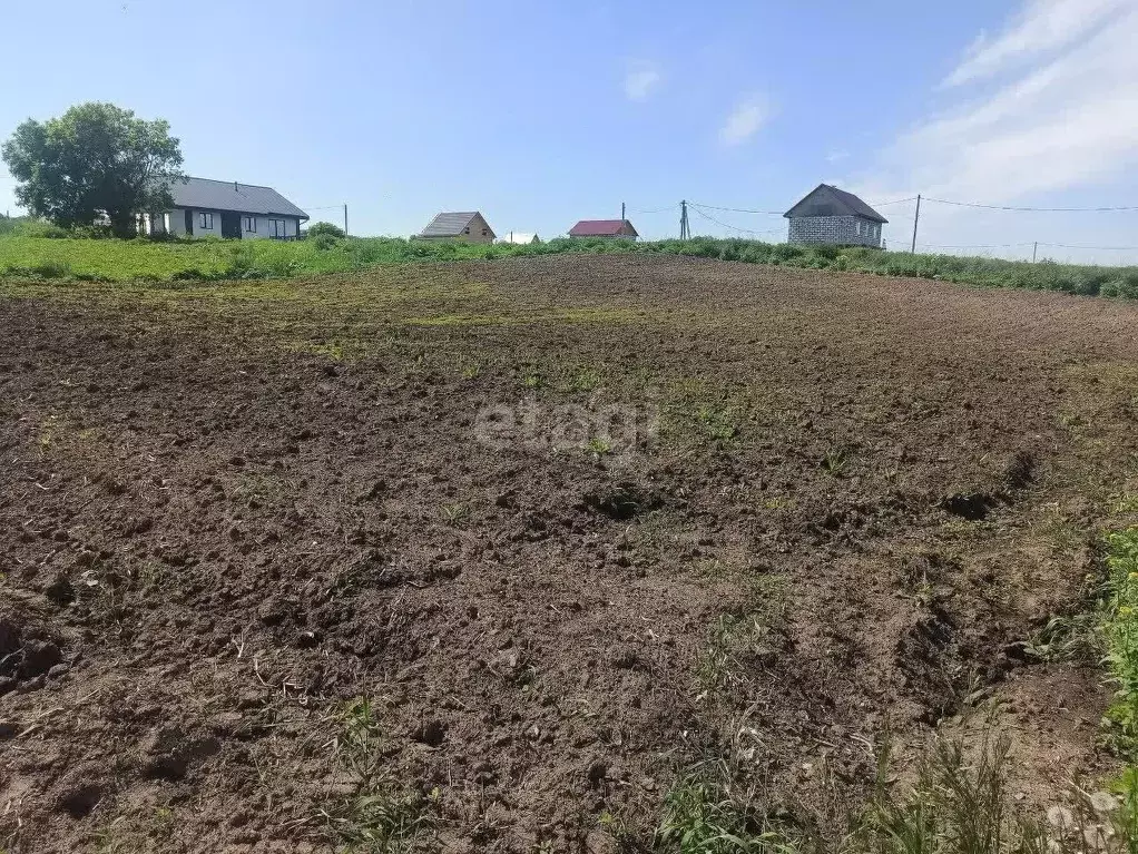 Участок в Новосибирская область, Искитимский район, Мичуринский ... - Фото 2